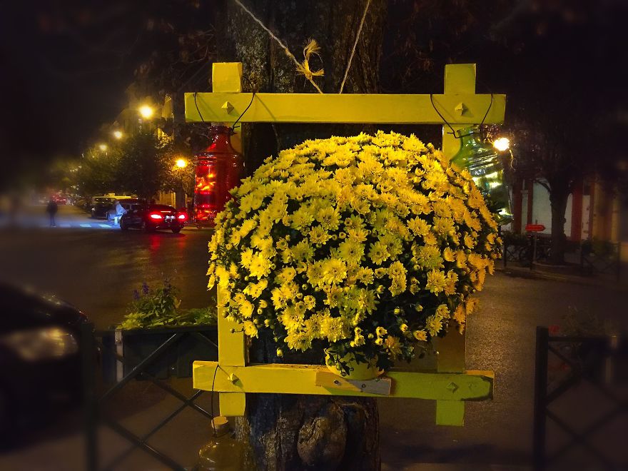 I Install Colorful Flowers In Wooden Frames All Over Cities