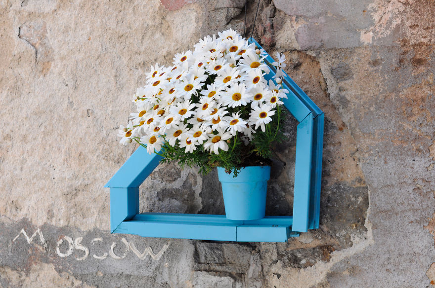 I Install Colorful Flowers In Wooden Frames All Over Cities