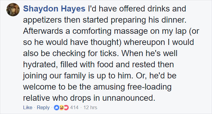 Woman Finds Fox Sleeping In Her Cat’s Bed, Gets Surprised By The Way It Acts Woman Finds Fox Sleeping In Her Cat’s Bed, Gets Surprised By The Way It Acts
