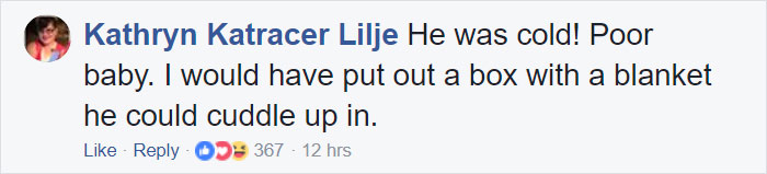 Woman Finds Fox Sleeping In Her Cat’s Bed, Gets Surprised By The Way It Acts Woman Finds Fox Sleeping In Her Cat’s Bed, Gets Surprised By The Way It Acts