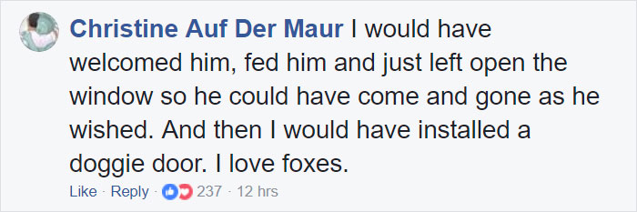 Woman Finds Fox Sleeping In Her Cat’s Bed, Gets Surprised By The Way It Acts Woman Finds Fox Sleeping In Her Cat’s Bed, Gets Surprised By The Way It Acts