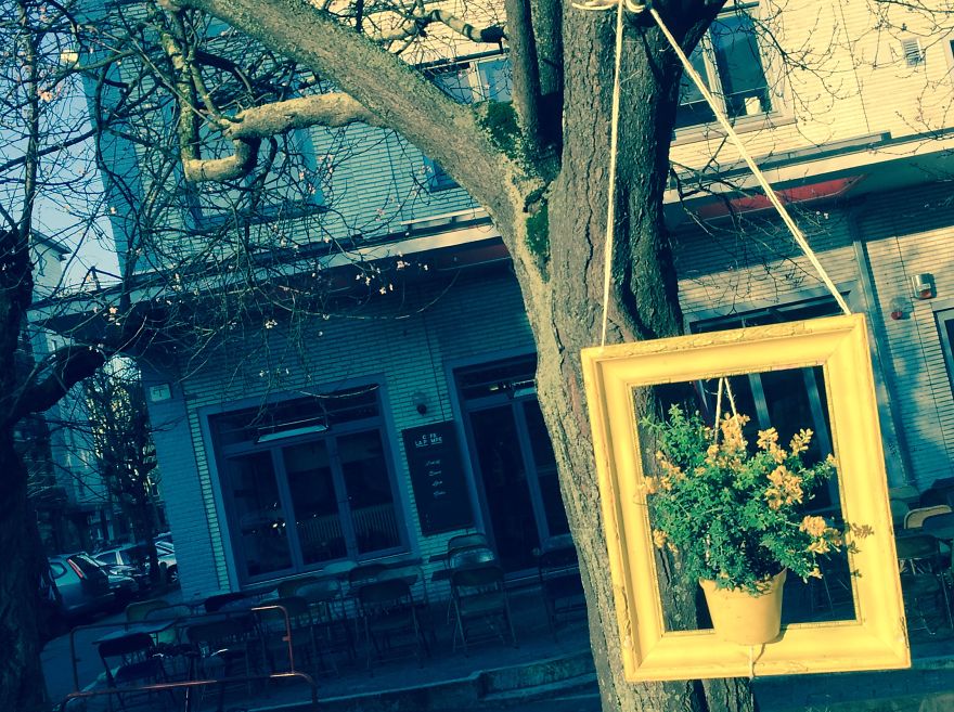 I Install Colorful Flowers In Wooden Frames All Over Cities I Install Colorful Flowers In Wooden Frames All Over Cities