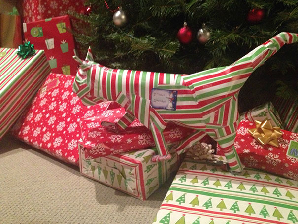 This Is How I Wrapped My Brothers Itunes Gift Card (I Also Bought Him Winrar)