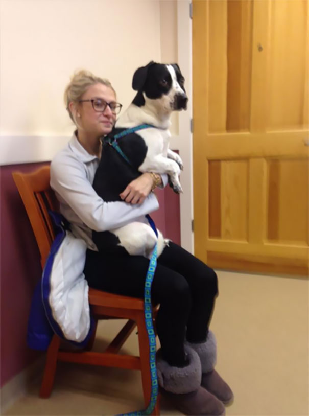 My Bubbas Doesn't Like The Vet So He Jumped In My Lap