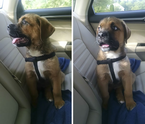 "Omg We're In The Car", "Wait I Know What This Is"