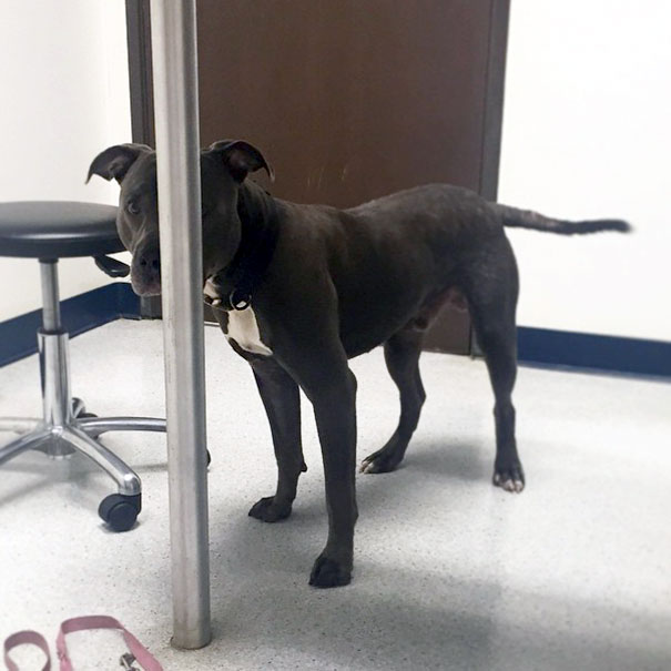 If I Hide Right Here. Right Behind This Pole. They Can't See Me, Right? Pretend Like I'm Not Here. Tell Them I Left