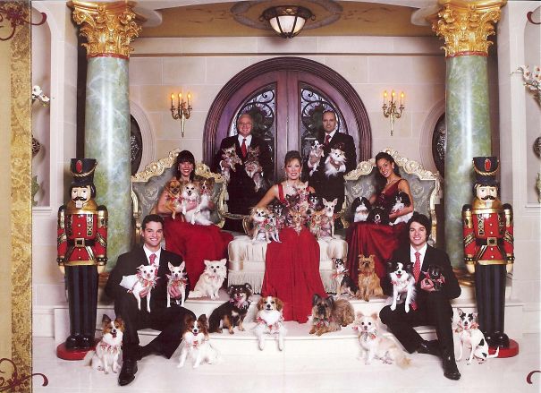 101 Lap Dogs. This Family Is Considering Adopting A Few More Laps