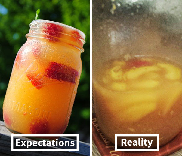 Roomie Tried To Make Peach Sangria From Pinterest. Nailed It