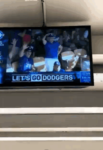Grandma Enjoying The Baseball Game