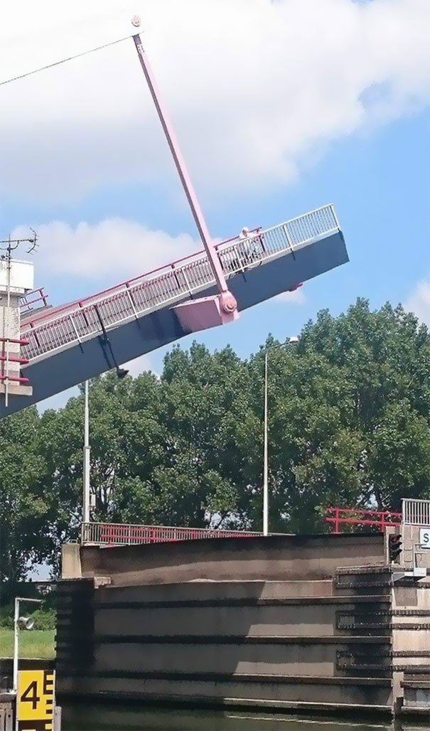 Grandma Didn't Make It In Time