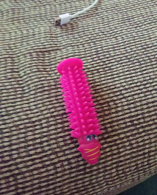 Asked My 78-Year-Old Great Grandmother What This Was, She Said "Oh Your Aunt Left That. Its A Dog Toy. Why? Did You Think It Was A Dildo?" Im Still Laughing