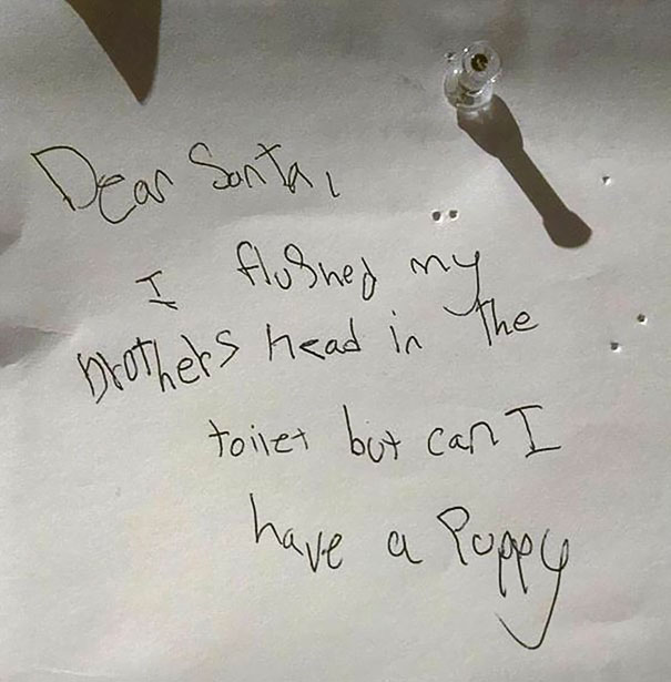 Dear Santa, I Flushed My Brothers Head In The Toilet But Can I Have A Puppy