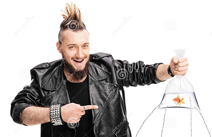 Man with punk hair and a leather coat holding a plastic bag with water and goldfish in it. The bag is cut with four holes and water is coming out