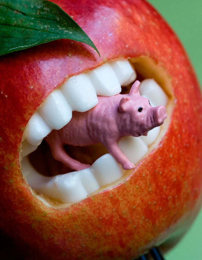 Apple with teeth devouring a pig