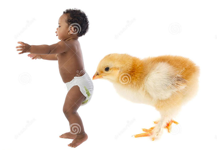 Chick sniffs a kid's b**t that is in diapers, and they both are similar size