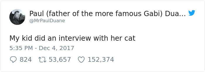 Little Girl Did An Interview With Her Cat And Someone Suggested It Should Be Illustrated, So We Did