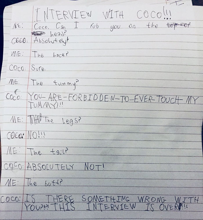 Little Girl Did An Interview With Her Cat And Someone Suggested It Should Be Illustrated, So We Did