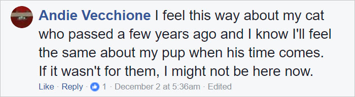 goodbye-dog-owner-comic-jen-jen-rose-13 goodbye-dog-owner-comic-jen-jen-rose-13