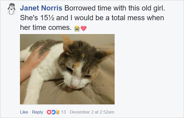 goodbye-dog-owner-comic-jen-jen-rose-15 goodbye-dog-owner-comic-jen-jen-rose-15