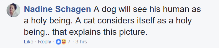 Everyone Can't Stop Laughing After This Grumpy Cat Crashed A Nativity Scene In NYC Everyone Can't Stop Laughing After This Grumpy Cat Crashed A Nativity Scene In NYC