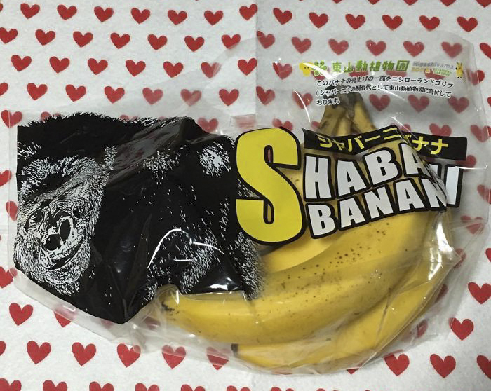 People Are Comparing This Ridiculously Photogenic Gorilla To George Clooney And We Can’t Handle It