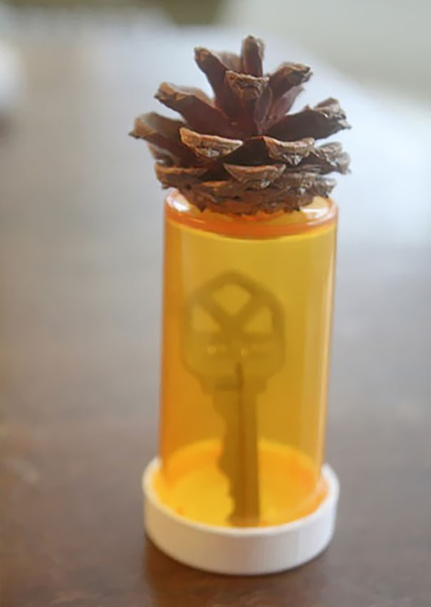 Pinecone Hide-A-Key