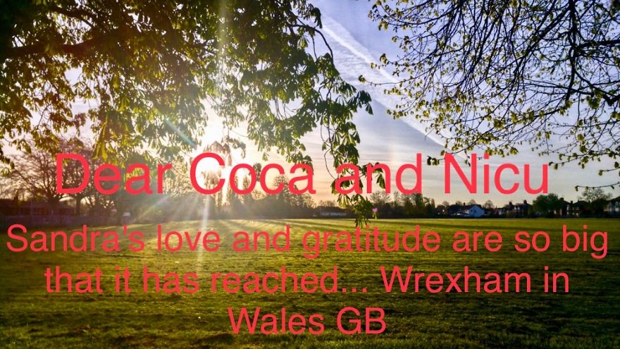 Greetings From Wrexham