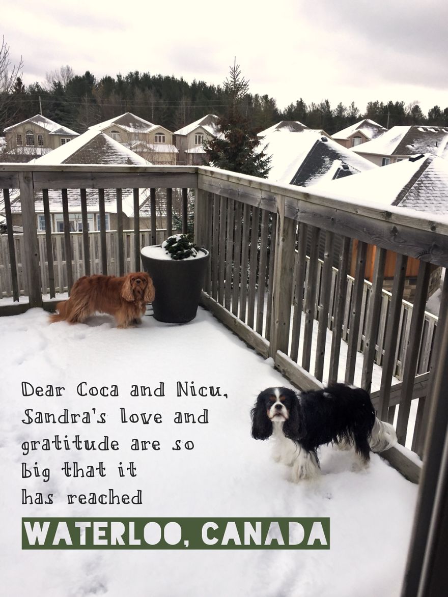 Waterloo Ontario Canada