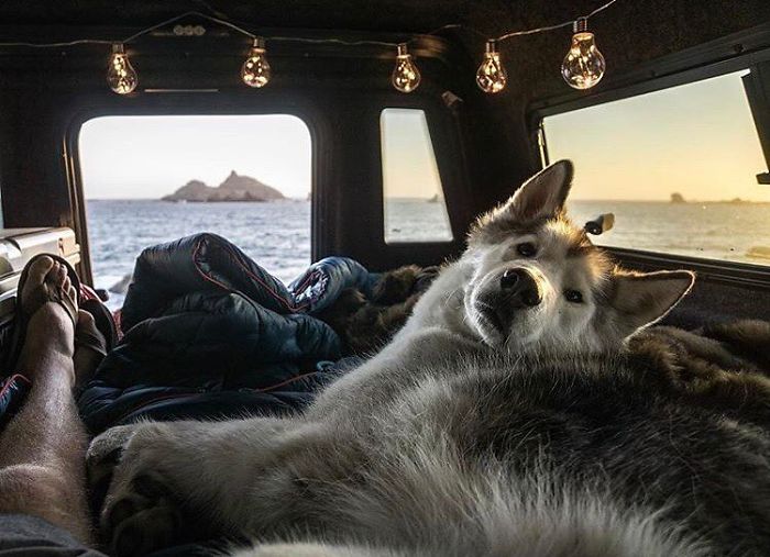 Van Life
