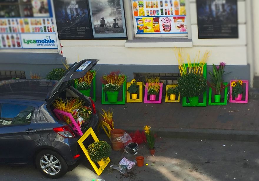 I Install Colorful Flowers In Wooden Frames All Over Cities I Install Colorful Flowers In Wooden Frames All Over Cities