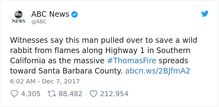 Watch This Anonymous Hero Saving A Bunny From Wildfire And Then Just Vanishing Into The Dark Watch This Anonymous Hero Saving A Bunny From Wildfire And Then Just Vanishing Into The Dark