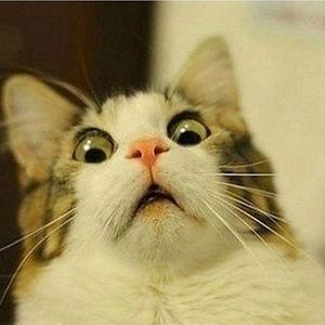 kyla_nicole_rivera avatar