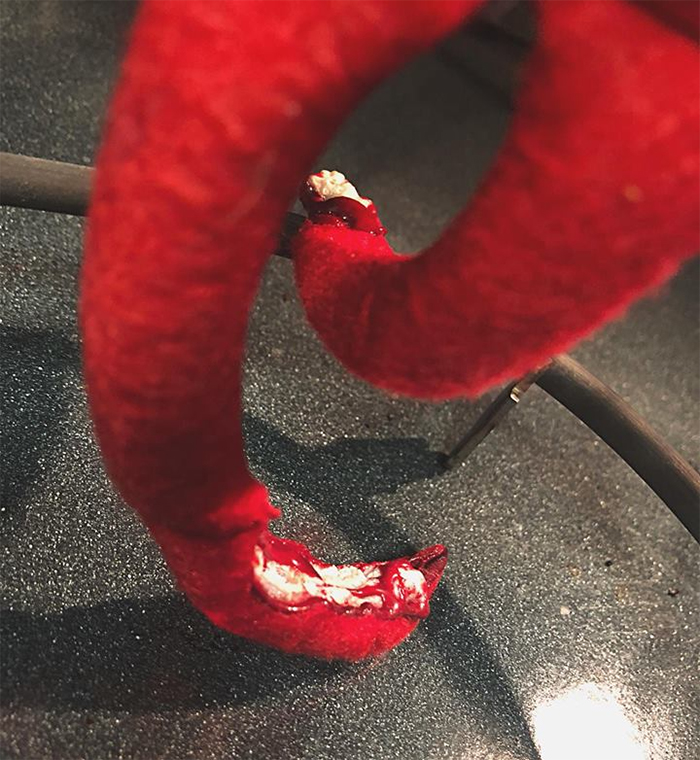 This Mom Had A Genius Idea On How To Get Out Of Moving The Family Elf, Did Not Expect It Would End So Horribly Wrong This Mom Had A Genius Idea On How To Get Out Of Moving The Family Elf, Did Not Expect It Would End So Horribly Wrong