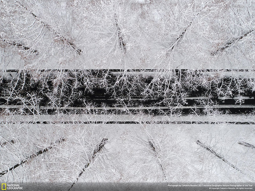 Second Place Winner, Aerials: From Above, Takahiro Bessho