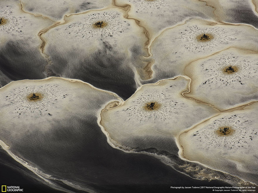 People's Choice: From Above, Jassen Todorov