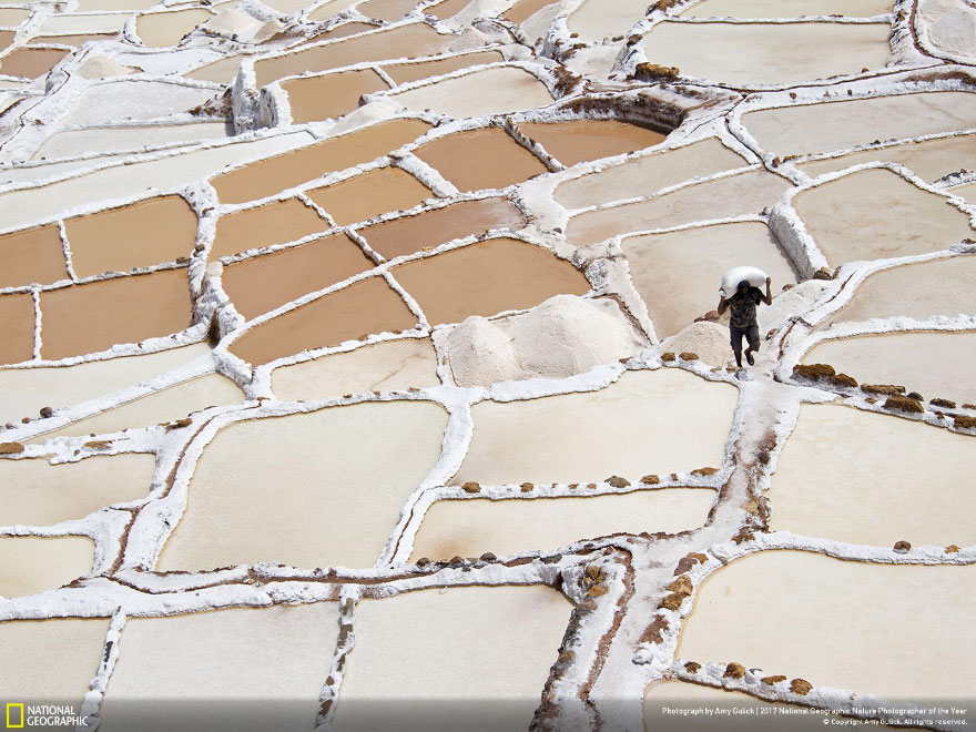 Salt Of The Earth, Amy Gulick