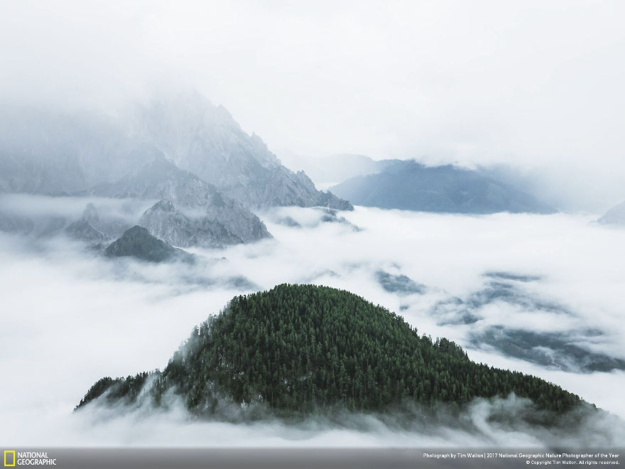 Islands In The Sky, Tim Walton