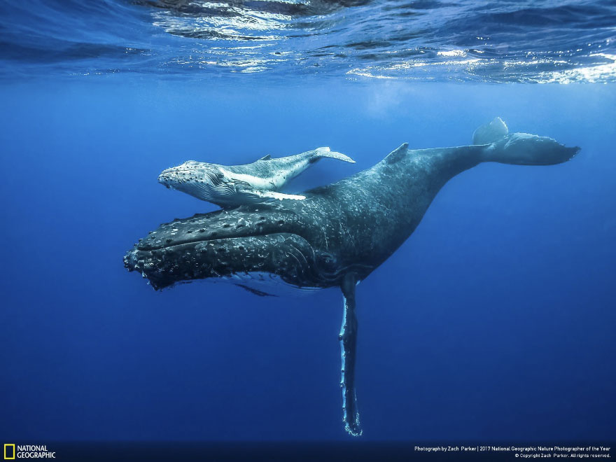 Guidance, Zach Parker