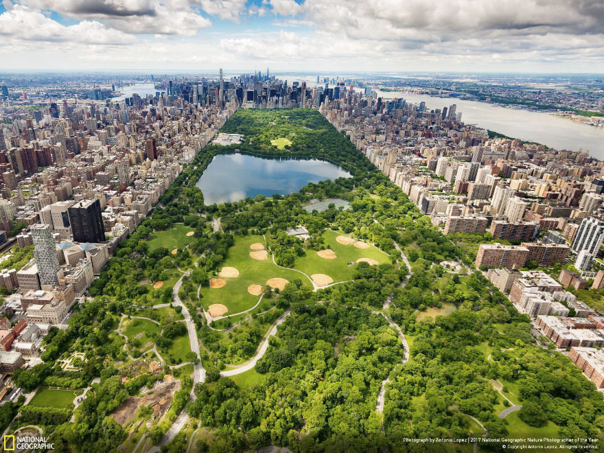 Central Park - Southern View, Antonio Lopez