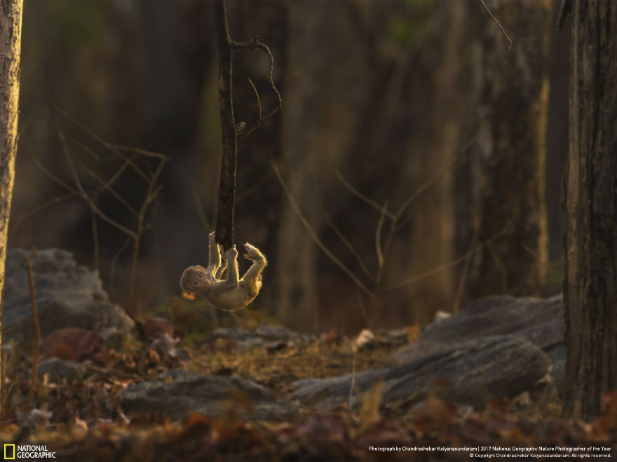 Play Time, Chandrashekar Kalyanasundaram