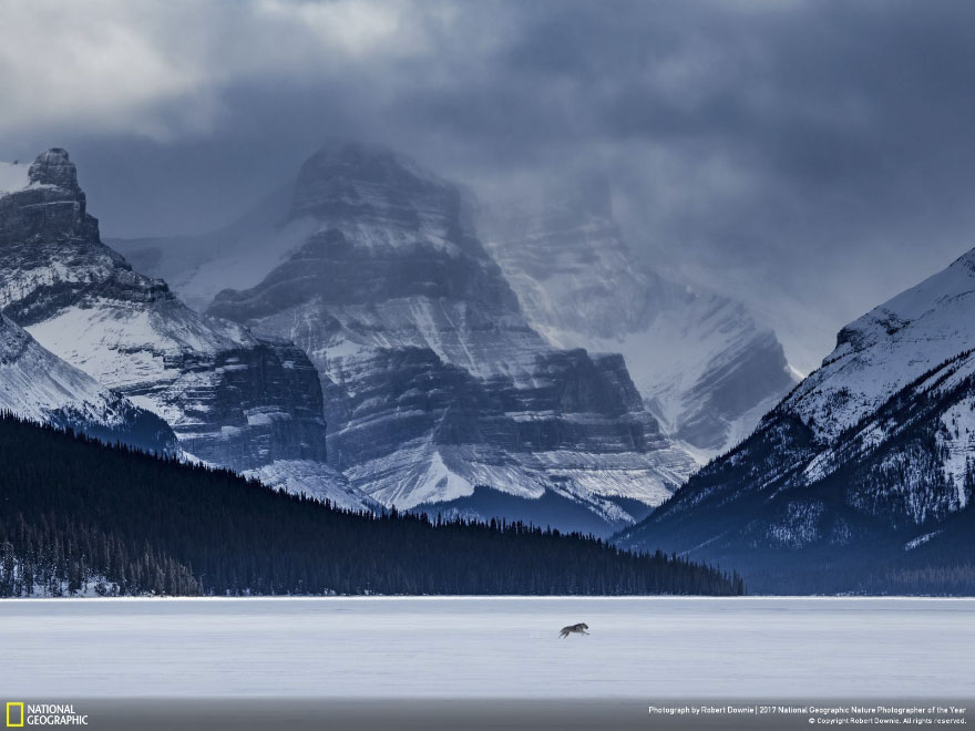 Maligne Lake, Robert Downie