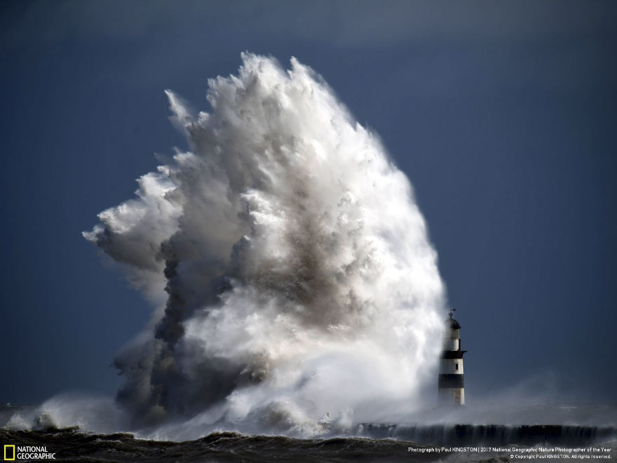 Monster From The Deep, Paul Kingston