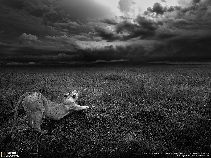 Étirement, Joël Fischer