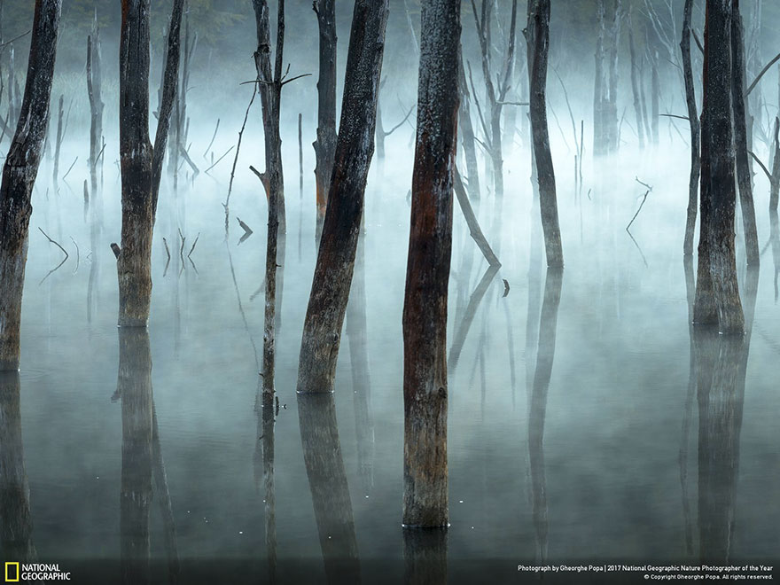 Honorable Mention, Landscapes: Cold And Misty, Gheorghe Popa