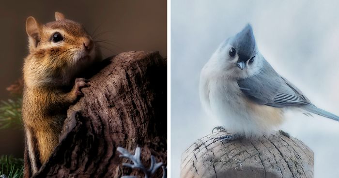 I’m An Amateur Photographer Who Is Just Learning, And Here Are Some Of My Photos