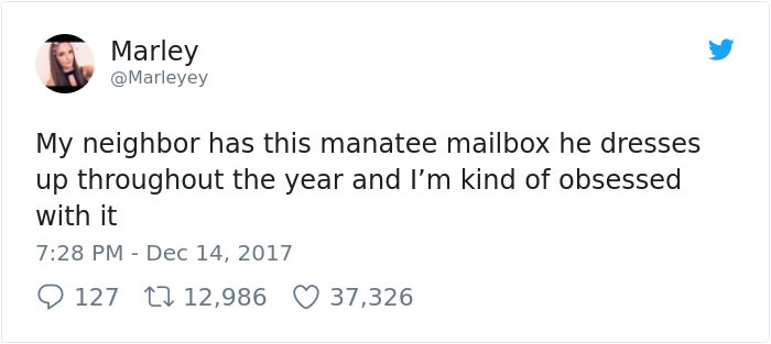 “My Neighbor Has This Manatee Mailbox He Dresses Up Throughout The Year And I’m Kind Of Obsessed With It”