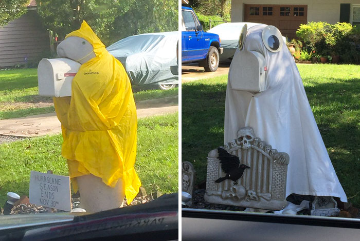 “Mi vecino tiene un buzón en forma de manatí al que disfraza durante todo el año, y estoy obsesionado con ello”