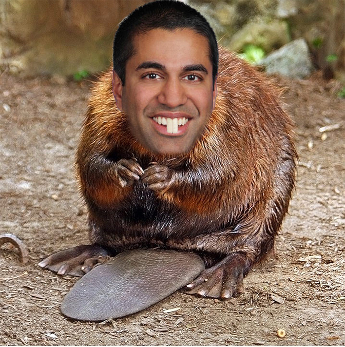 Net-Neutrality-Reactions