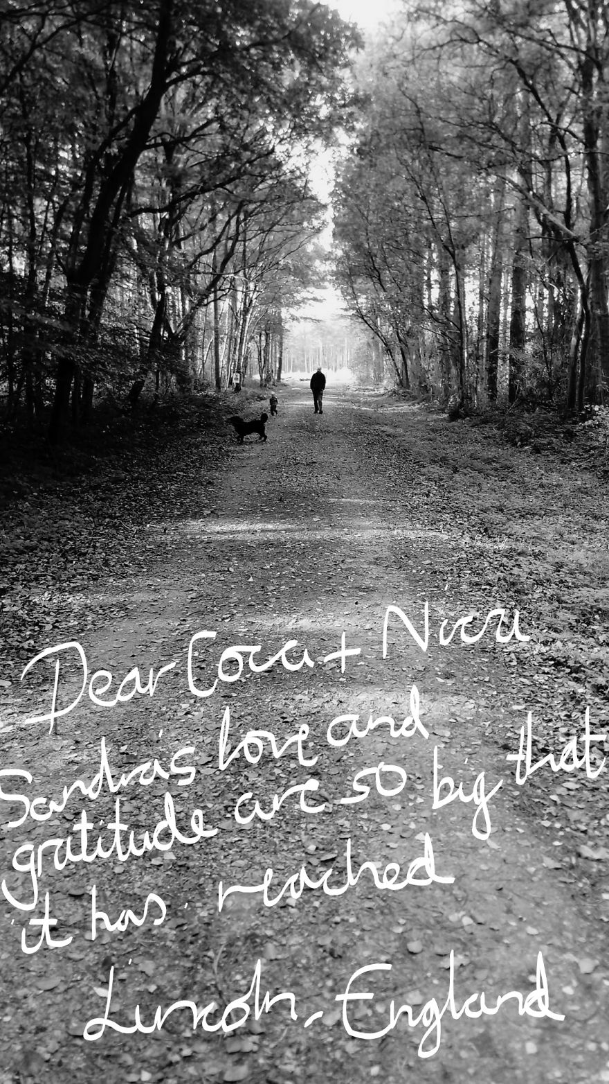 Greetings From Lincoln, England