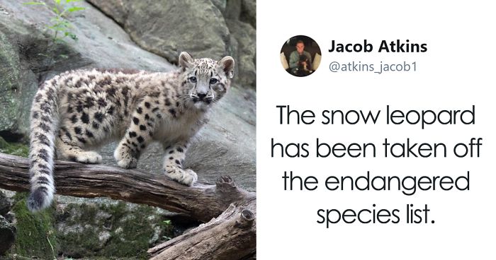 Man Tired Of All Negative News From 2017 Posts The Most Positive Things That Happened This Year